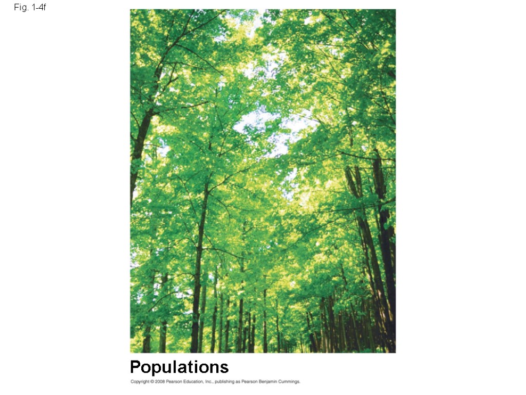 Fig. 1-4f Populations